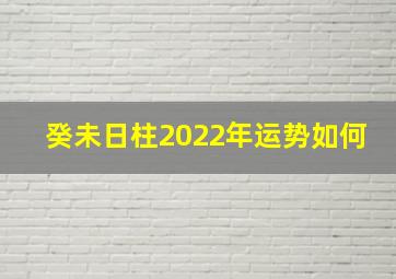 癸未日柱2022年运势如何