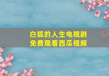 白狐的人生电视剧免费观看西瓜视频