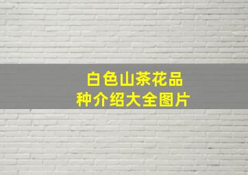 白色山茶花品种介绍大全图片