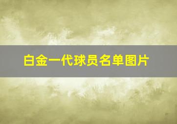 白金一代球员名单图片