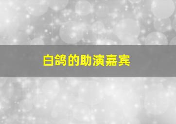 白鸽的助演嘉宾