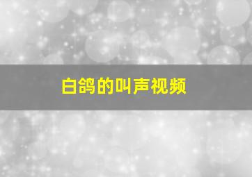 白鸽的叫声视频