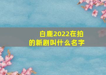 白鹿2022在拍的新剧叫什么名字