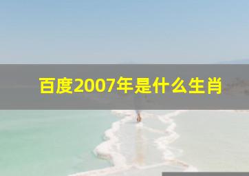 百度2007年是什么生肖