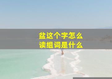 盆这个字怎么读组词是什么