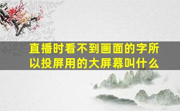 直播时看不到画面的字所以投屏用的大屏幕叫什么