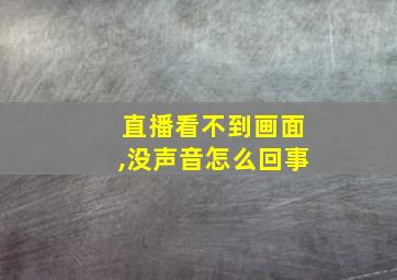 直播看不到画面,没声音怎么回事