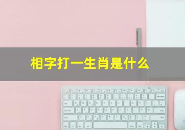 相字打一生肖是什么