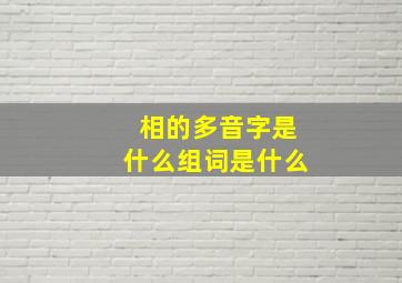 相的多音字是什么组词是什么