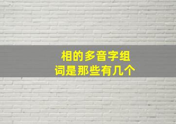 相的多音字组词是那些有几个