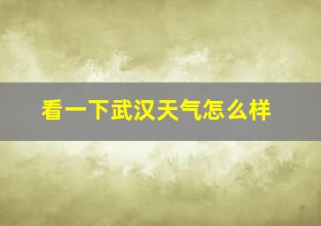 看一下武汉天气怎么样