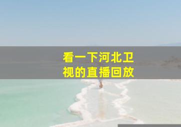 看一下河北卫视的直播回放