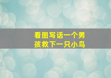 看图写话一个男孩救下一只小鸟