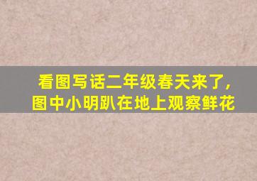 看图写话二年级春天来了,图中小明趴在地上观察鲜花