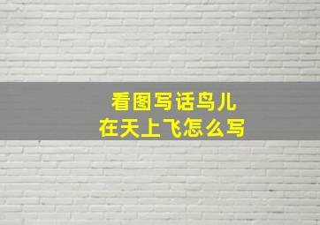 看图写话鸟儿在天上飞怎么写