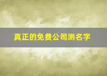 真正的免费公司测名字