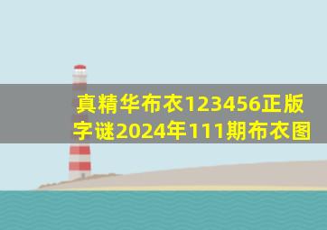 真精华布衣123456正版字谜2024年111期布衣图