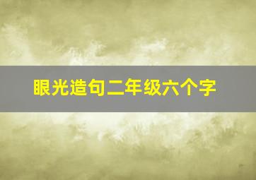 眼光造句二年级六个字