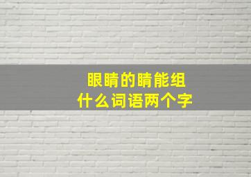 眼睛的睛能组什么词语两个字