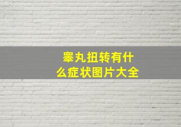 睾丸扭转有什么症状图片大全