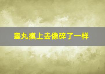 睾丸摸上去像碎了一样