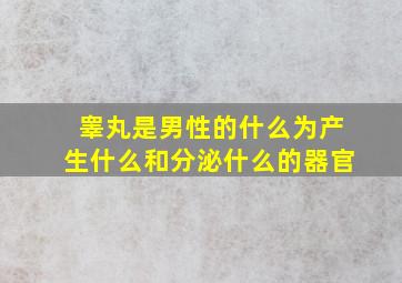 睾丸是男性的什么为产生什么和分泌什么的器官