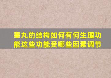 睾丸的结构如何有何生理功能这些功能受哪些因素调节