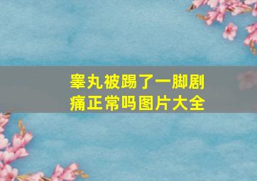 睾丸被踢了一脚剧痛正常吗图片大全