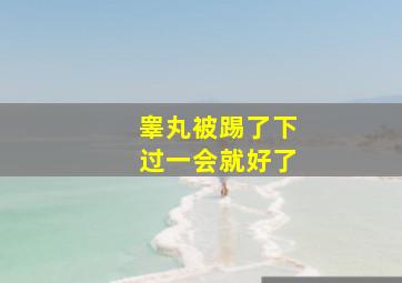 睾丸被踢了下过一会就好了