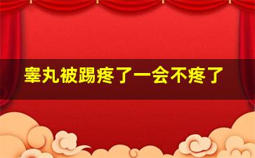 睾丸被踢疼了一会不疼了