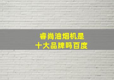 睿尚油烟机是十大品牌吗百度