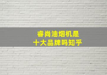 睿尚油烟机是十大品牌吗知乎