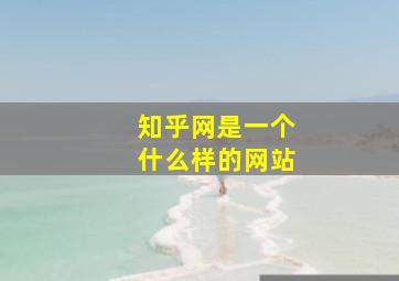 知乎网是一个什么样的网站