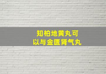 知柏地黄丸可以与金匮肾气丸