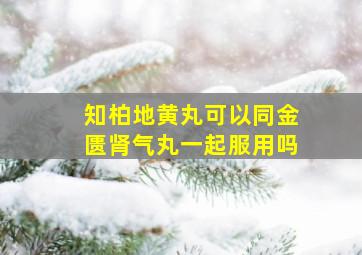 知柏地黄丸可以同金匮肾气丸一起服用吗