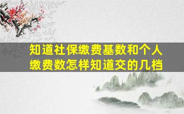 知道社保缴费基数和个人缴费数怎样知道交的几档