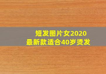 短发图片女2020最新款适合40岁烫发