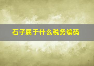 石子属于什么税务编码