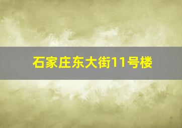 石家庄东大街11号楼