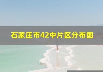 石家庄市42中片区分布图