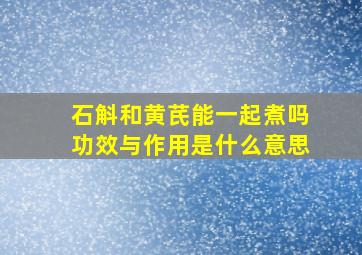 石斛和黄芪能一起煮吗功效与作用是什么意思