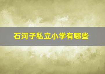 石河子私立小学有哪些