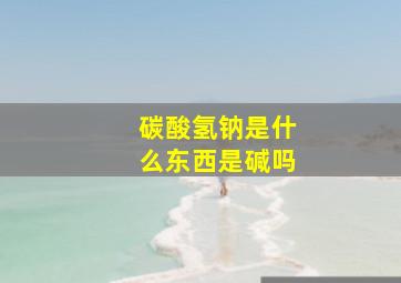 碳酸氢钠是什么东西是碱吗