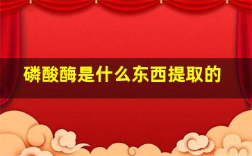 磷酸酶是什么东西提取的