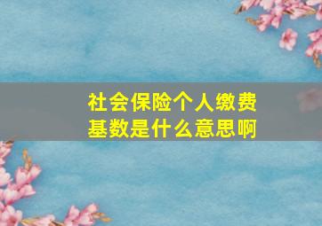 社会保险个人缴费基数是什么意思啊