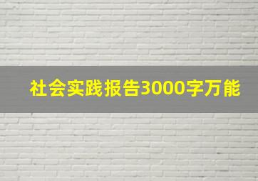 社会实践报告3000字万能