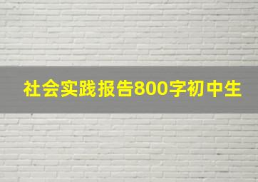 社会实践报告800字初中生