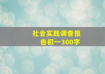 社会实践调查报告初一300字