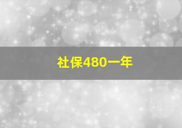 社保480一年