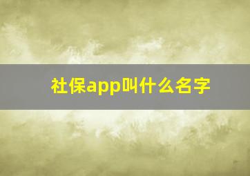 社保app叫什么名字